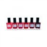 15 DAYS EFFECT GEL 6 COLOURS 91 REF: 14491 (D'DONNA)