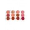 BRIGHT BLUSHER KIT WATER SWEATPROOF REF: 13319A (D'DONNA)