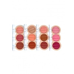 BRIGHT BLUSHER KIT WATER SWEATPROOF REF: 13319A (D'DONNA)