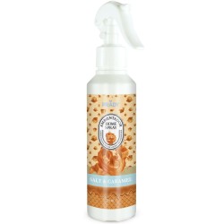 AMBIENTADOR HOME SPRAY...