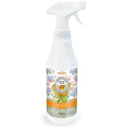 AMBIENTADOR HOME SPRAY...