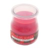 VELA PERFUMADA FRUTAS DEL BOSQUE 100 GR (LUMAR)