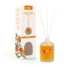 MIKADO MANGO 100 ML (PRADY)