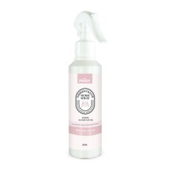 AMBIENTADOR HOME SPRAY...