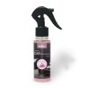 AMBIENTADOR SPRAY CAR YANI 100 ML (PRADY)