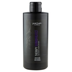 CHAMPU DERMOPROTECT 400 ML